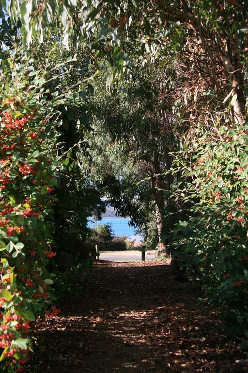 فندق Beauty Point Tourist Park المظهر الخارجي الصورة